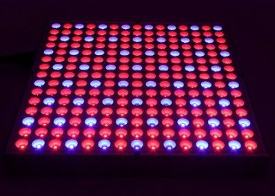 Hydroponics 38W 0.5m2/0.3m που οδηγείται εγκαταστάσεις αυξάνεται φω'των 45W επίπεδης οθόνης τις εσωτερικές