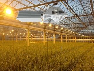 155lm/w 160000lm εσωτερικά αυξάνονται τα φω'τα, 1000W HPS αυξάνονται τα φω'τα