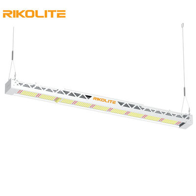 Το πλήρες φάσμα SMD3030 IP65 300w αυξάνεται τα φω'τα, οδηγημένο 1450umol/s ελαφρύ προσάρτημα φραγμών