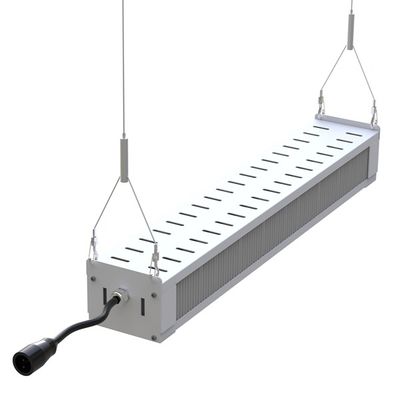 Οι πλήρεις οδηγήσεις φάσματος RikoLite 240W αυξάνονται τον ελαφρύ λεπτό φραγμό, οι οδηγήσεις δενδροκηποκομίας AL1100 αυξάνονται τα φω'τα
