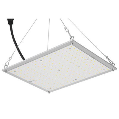 Hydroponics RikoLite 100W 277vac που οδηγείται αυξάνεται τον κβαντικό πίνακα 167.3umol/S φω'των