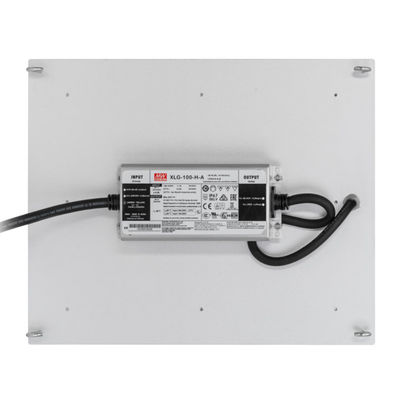 Hydroponics RikoLite 100W 277vac που οδηγείται αυξάνεται τον κβαντικό πίνακα 167.3umol/S φω'των
