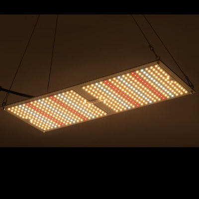 Rikolite 200w ιατρικών εγκαταστάσεων εσωτερικά υδροπονικά αυξανόμενα συστήματα πινάκων καλλιέργειας κβαντικά