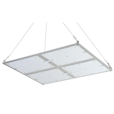 Η υψηλή δύναμη Rikolite 400w που οδηγείται αυξάνεται τα φω'τα, 149.6m/W που το υδροπονικό φυτό γίνεται ελαφρύ