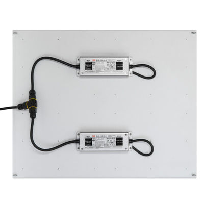 Η υψηλή δύναμη Rikolite 400w που οδηγείται αυξάνεται τα φω'τα, 149.6m/W που το υδροπονικό φυτό γίνεται ελαφρύ