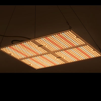 Η υψηλή δύναμη Rikolite 400w που οδηγείται αυξάνεται τα φω'τα, 149.6m/W που το υδροπονικό φυτό γίνεται ελαφρύ
