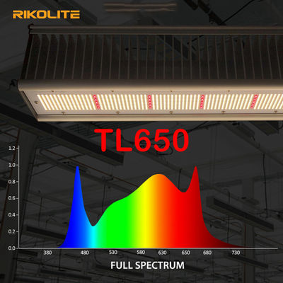 TL650 το θερμοκήπιο ΙΣΟΤΙΜΙΑΣ 1755umol/S που οδηγείται αυξάνεται τα φω'τα 630W για Veg/το λουλούδι