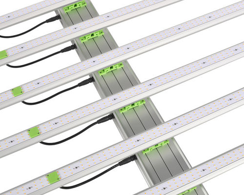 οι οδηγήσεις εγκαταστάσεων 600W 1560μMol αυξάνονται τα φω'τα 6 φραγμοί EPAR 380nm-760nm