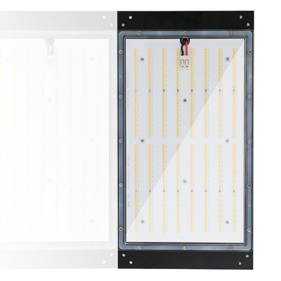 120w Hydroponics οι οδηγήσεις αυξάνονται τα φω'τα 3500k Dimmable IP65 που εκτιμάται αδιάβροχο