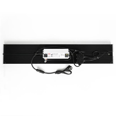 Hydroponics οι κβαντικές οδηγήσεις αυξάνονται το πλήρες φάσμα φω'των IP65 320w για το λαχανικό