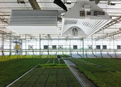 1050µMol/S ΕΚΡΥΨΕ τις οδηγήσεις αυξάνεται τα φω'τα, συγκομιδές 630W που το κεραμικό αλογονίδιο μετάλλων γίνεται ελαφρύ