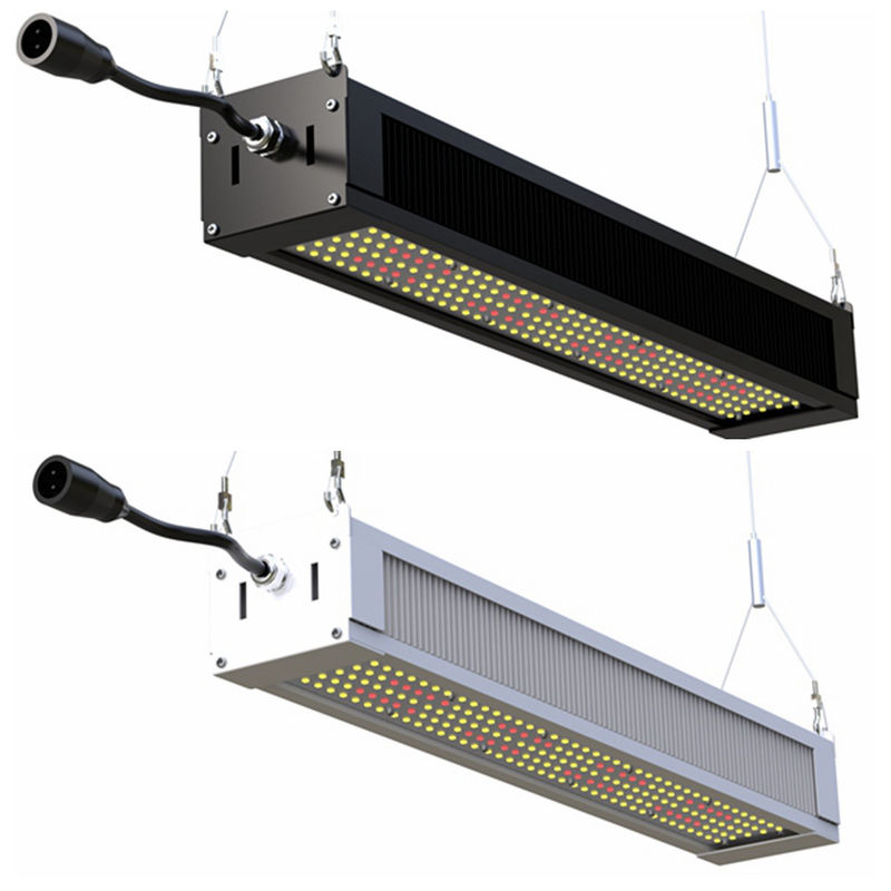 Οι πλήρεις οδηγήσεις φάσματος RikoLite 240W αυξάνονται τον ελαφρύ λεπτό φραγμό, οι οδηγήσεις δενδροκηποκομίας AL1100 αυξάνονται τα φω'τα
