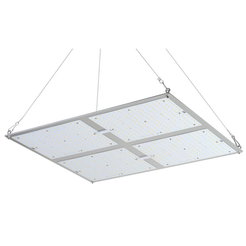 Η υψηλή δύναμη Rikolite 400w που οδηγείται αυξάνεται τα φω'τα, 149.6m/W που το υδροπονικό φυτό γίνεται ελαφρύ